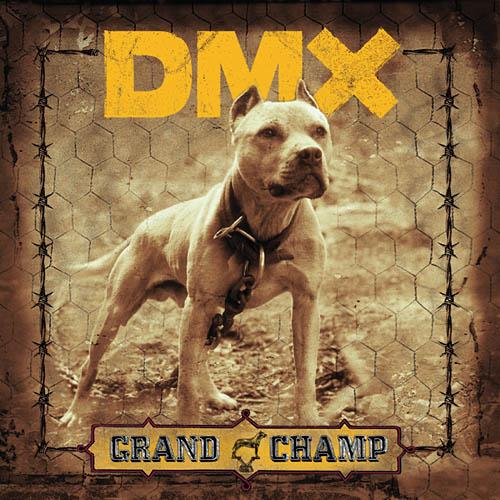 best dmx albums